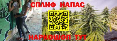 ПСИЛОЦИБИНОВЫЕ ГРИБЫ Бузулук